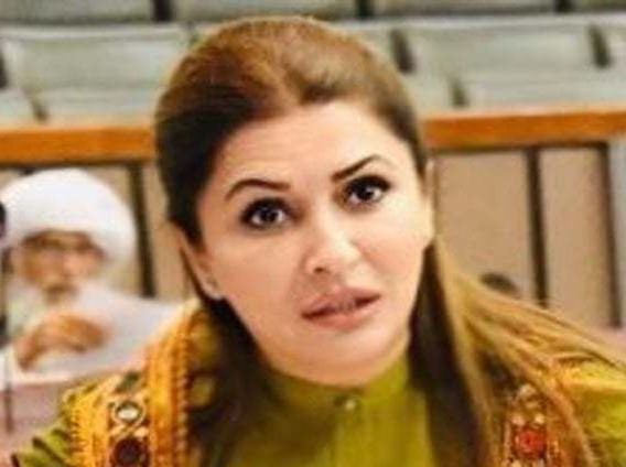 PPP slams petrol price increase as Ramzan nears, demands rollback