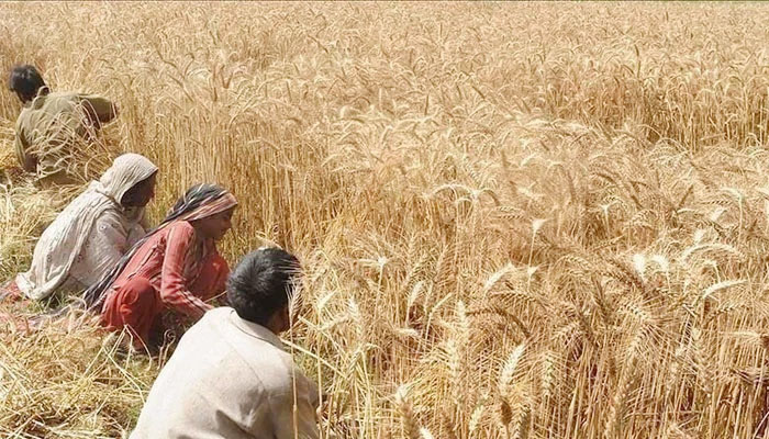 Inclusive Rural Prosperity