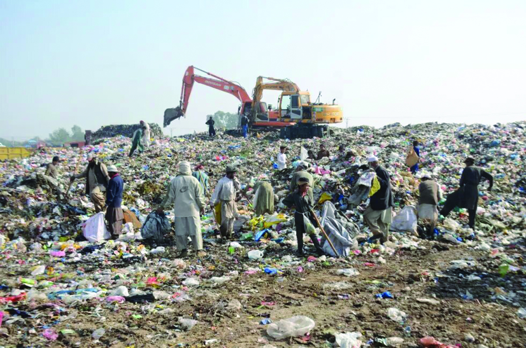 From Waste to Worth
