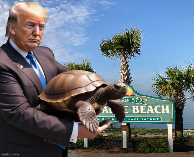 Trump Turns Turtle