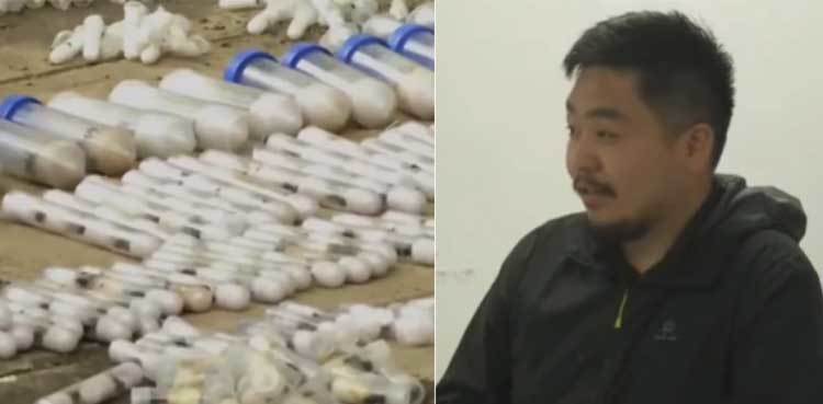 Man arrested for smuggling more than 2,200 live ants
