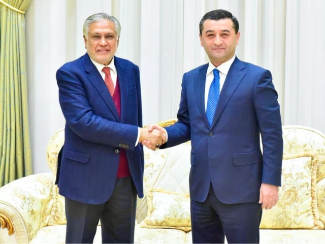 Uzbekistan praises Pakistan's mediation role in Middle East crisis