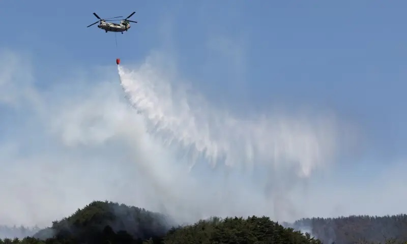 Japan deploys 1,400 firefighters to battle raging wildfires in the north