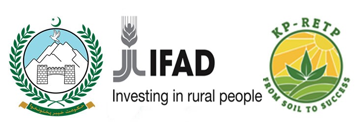 IFAD warns KP against replacing KPRETP chief, cites risk to Rs50bn project progress