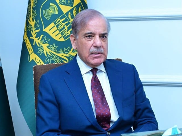 Prime Minister Shehbaz briefs JI delegation on Pakistan’s diplomatic efforts amid tensions