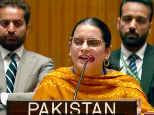 Pakistan rejects India's Kashmir claim at UN, calls for resolution under UNSC mandate