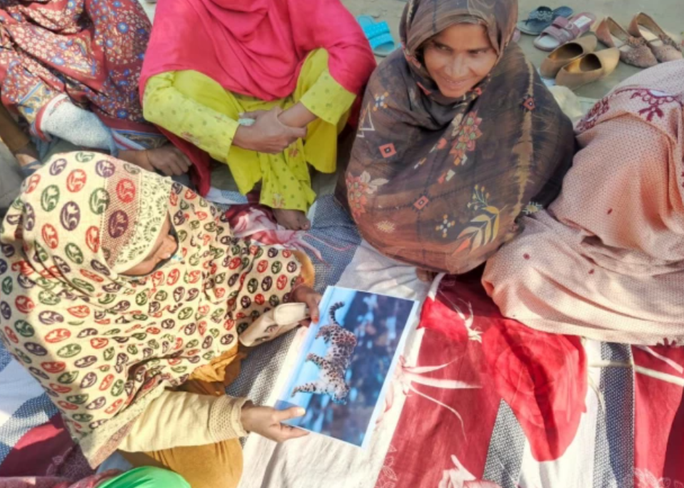 WWF Warns Wildlife Crime and Overharvesting Threaten Pakistan’s Biodiversity