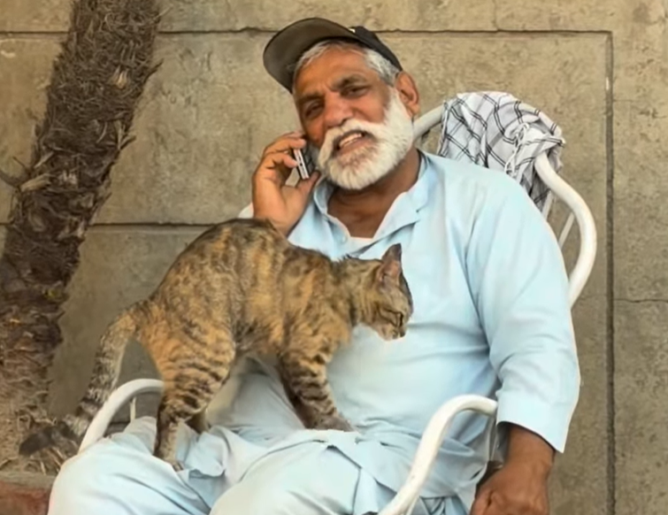 Security guard cares for stray cat, says it lead to journey to Kabba