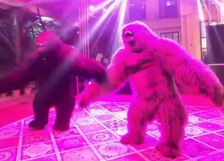 Forget dhol walay, dancing gorillas are the new wedding hype