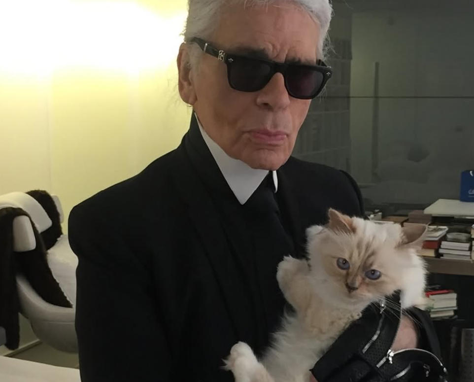 Karl Lagerfeld left millions to his cat, but Choupette is broke 
