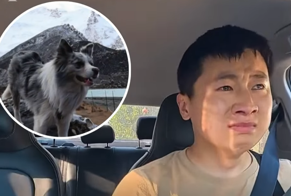 Imagine your pet dog gets stolen, slaughtered and eaten — this influencer’s nightmare came true