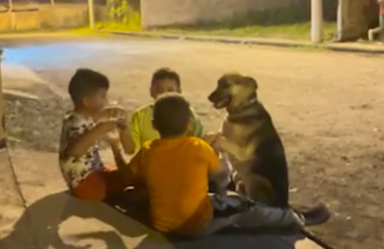 Kids include a dog in their game, restore faith in humanity