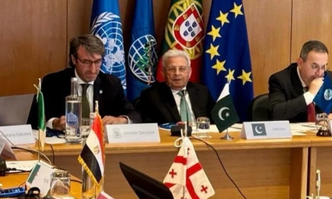 Pakistan takes permanent seat at International Olive Council meeting