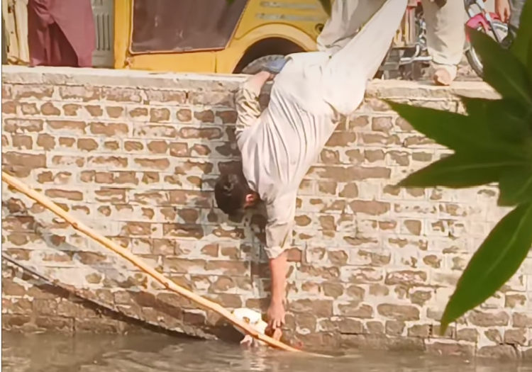VIDEO: Man's daring rescue has the internet calling him a real hero
