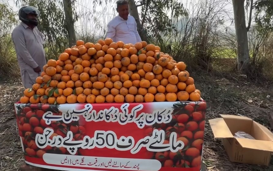 Honesty test fails to recoup costs as unmanned fruit stall emptied in Sialkot