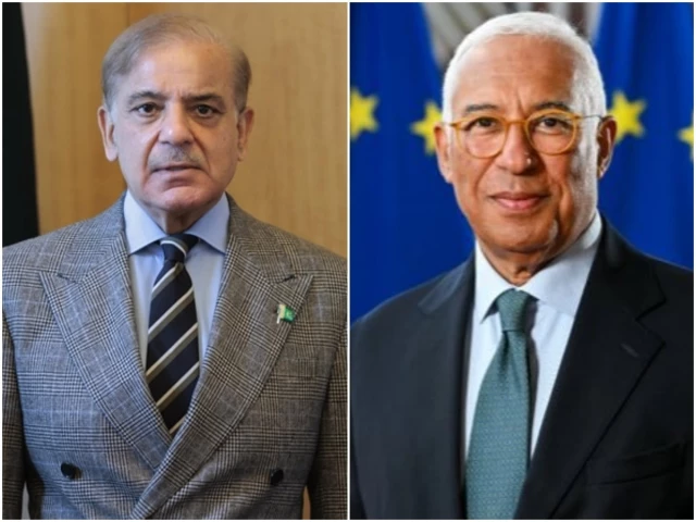 EU backs Pakistan's Middle East mediation as PM Shehbaz pledges dialogue and diplomacy
