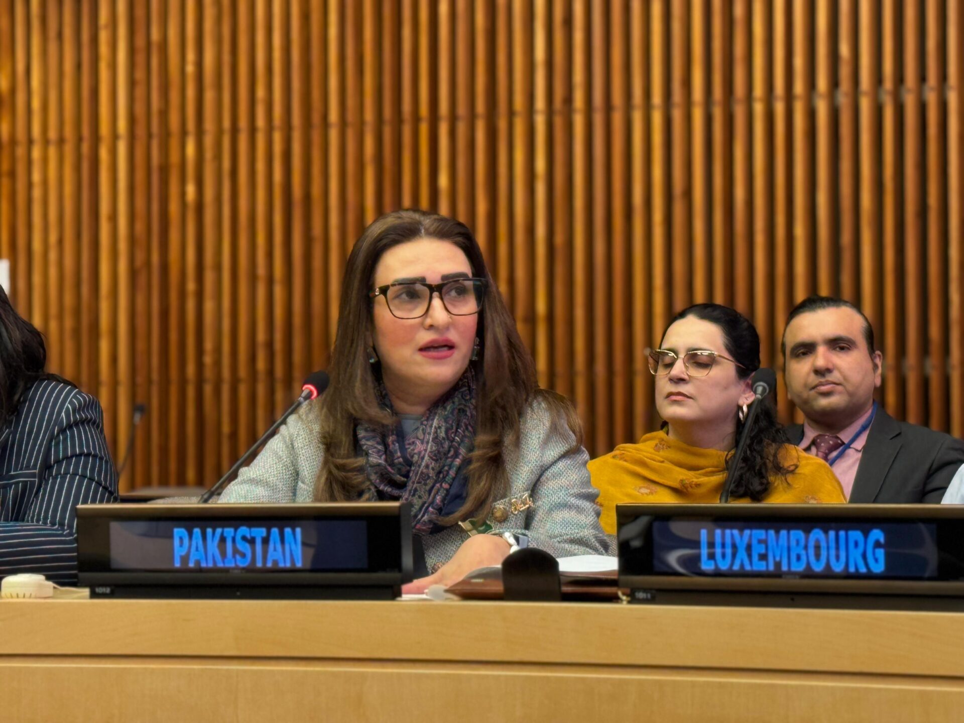 Pakistani women highlight access to justice at UN rights forum