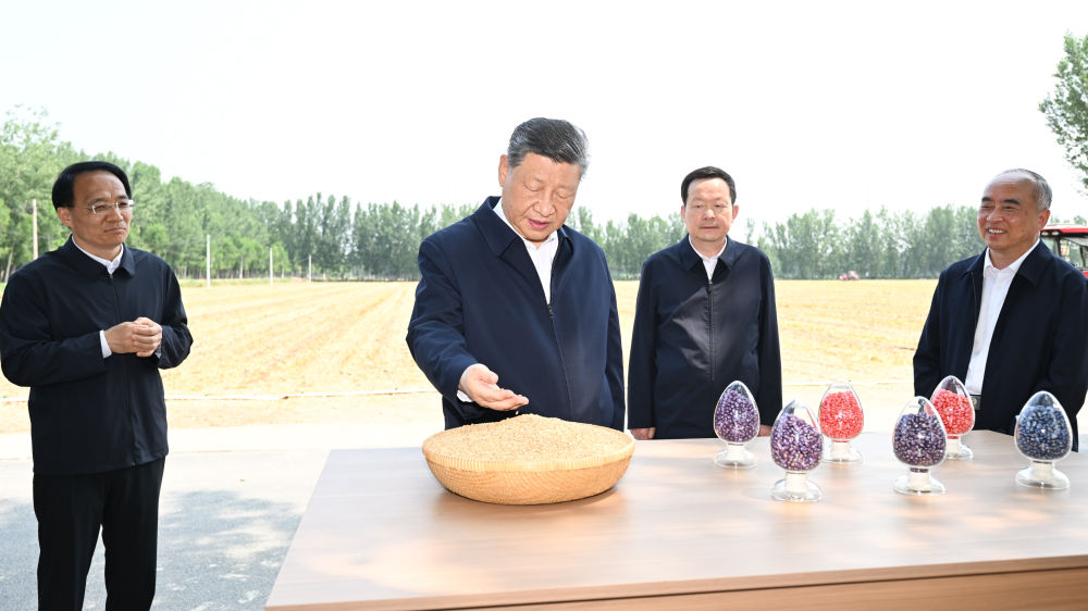 Xi calls for solid measures to modernize agriculture, rural areas
