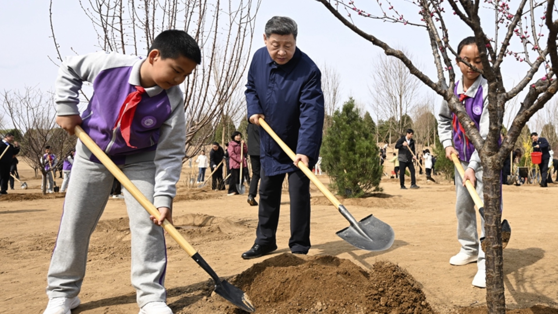 Xi Jinping urges nationwide participation in tree plantation to build 'Beautiful China'