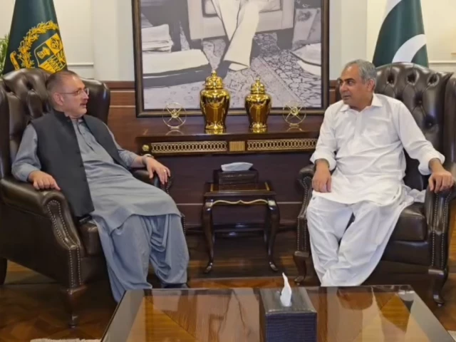 Naqvi, Sharjeel stress federal-provincial coordination to tackle security and public issues