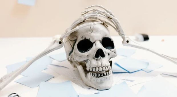 Man digs up sister’s remains after bank demands account holder presence