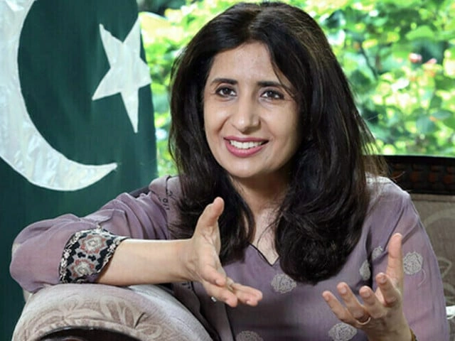 Pakistan welcomes joint declaration of Joint Arab-Islamic Extraordinary Summit