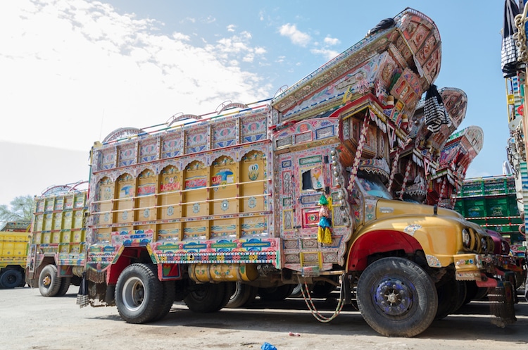 Govt launches anti-polio awareness campaign using truck art