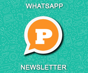 Whatsapp Newsletter