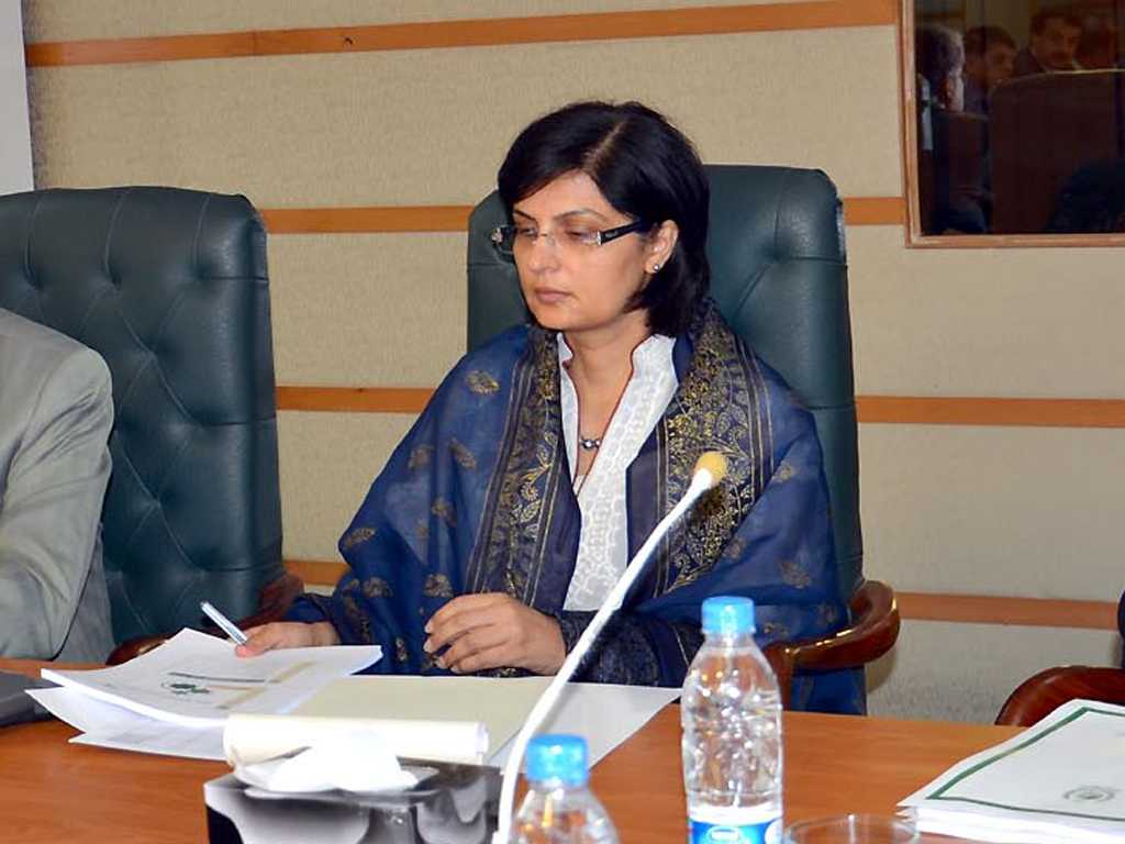 Punjab govt launching PEP to provide relief to people: Dr Sania Nishtar