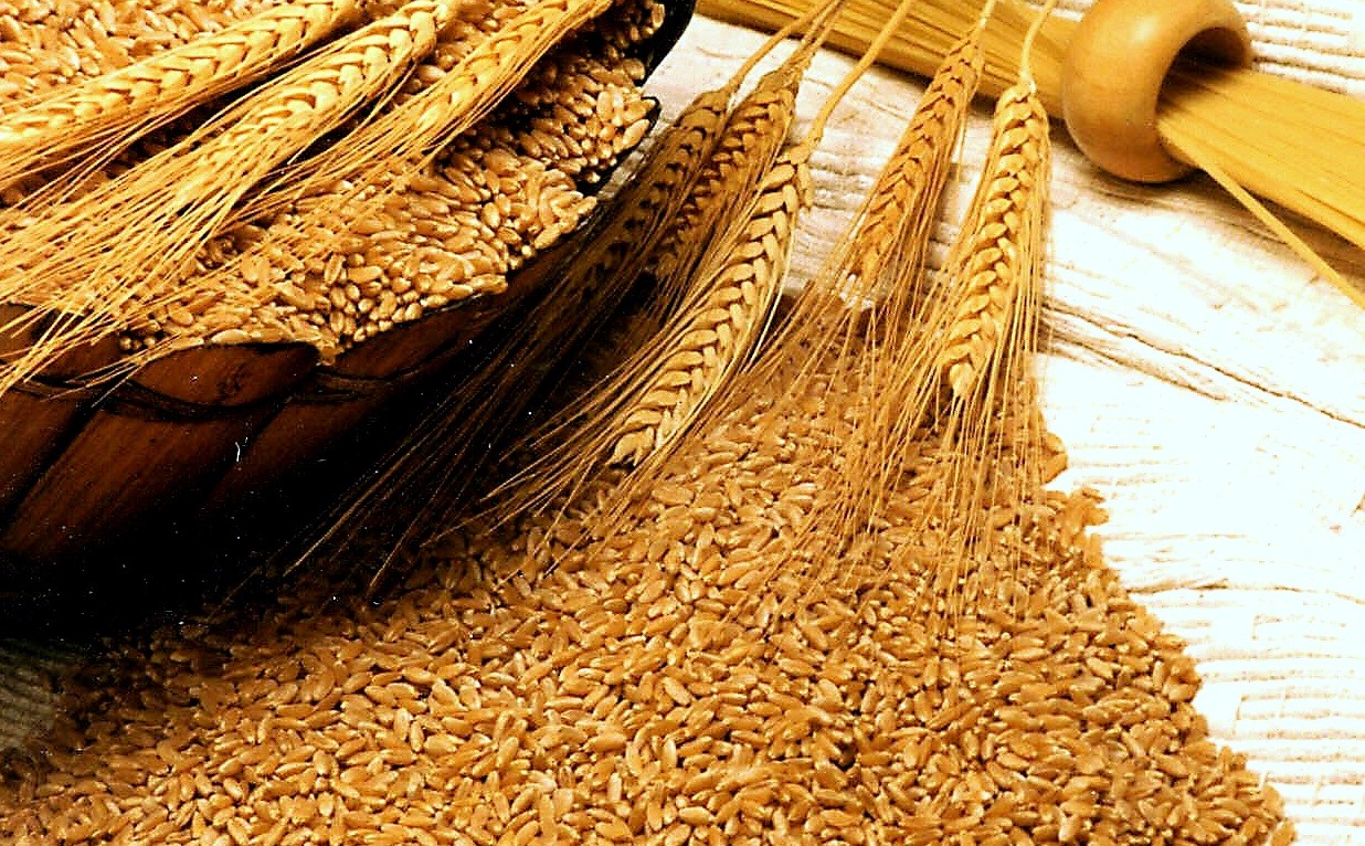 KP Cabinet approves first-ever Food Security Policy