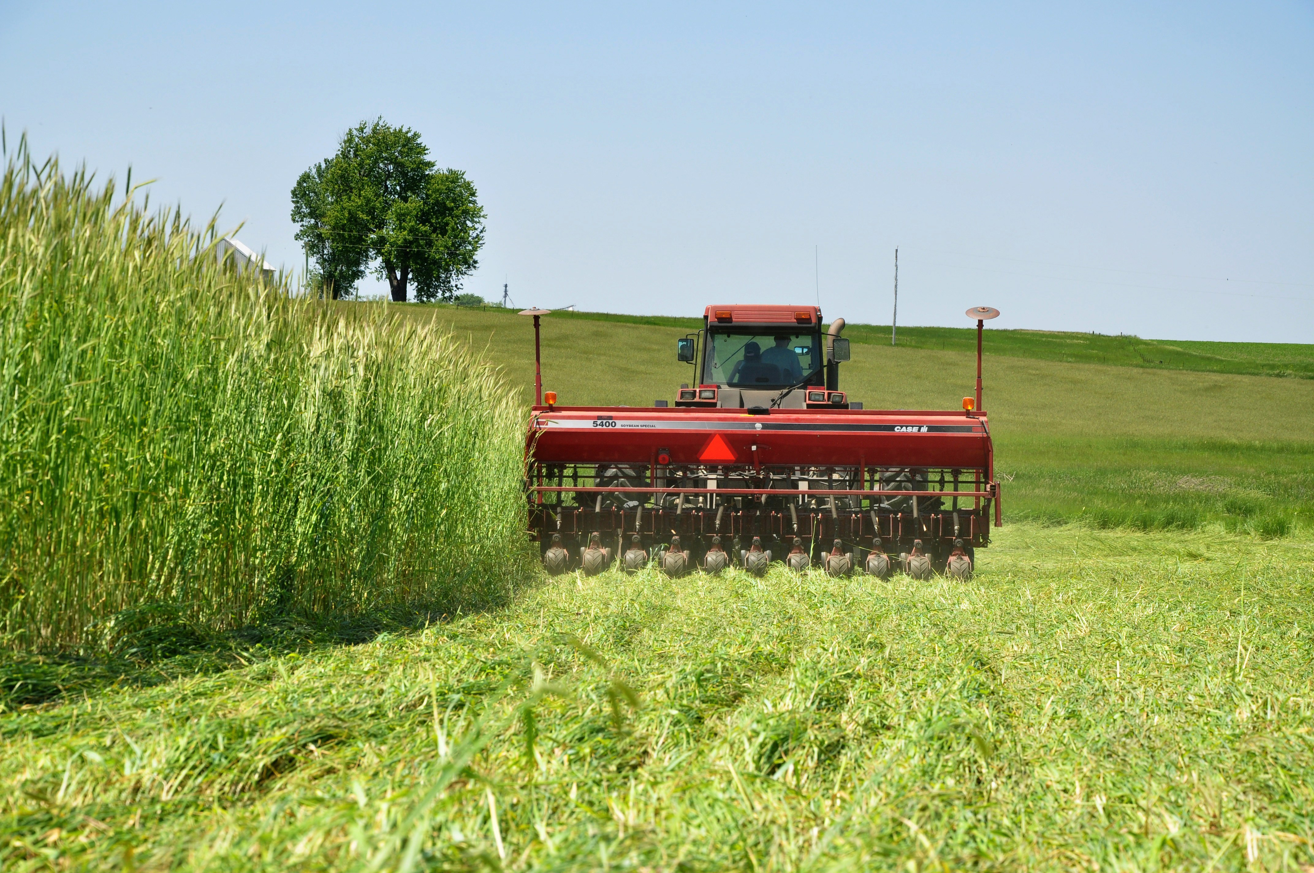 Increased crops' production makes over 2.38% economic growth possible