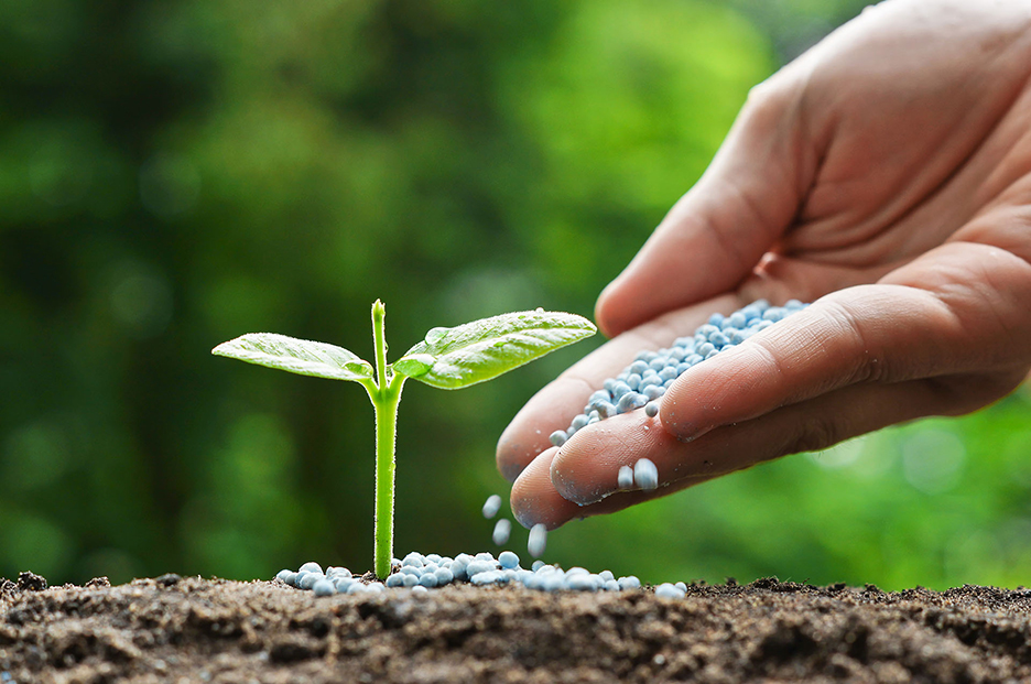 Fertilizer shortage in K-P, prices soar