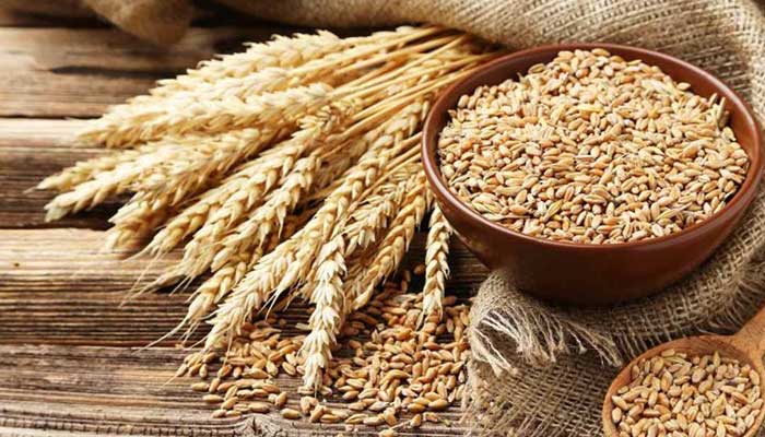 Wheat shortage: Punjab decides to check flour mills’ record
