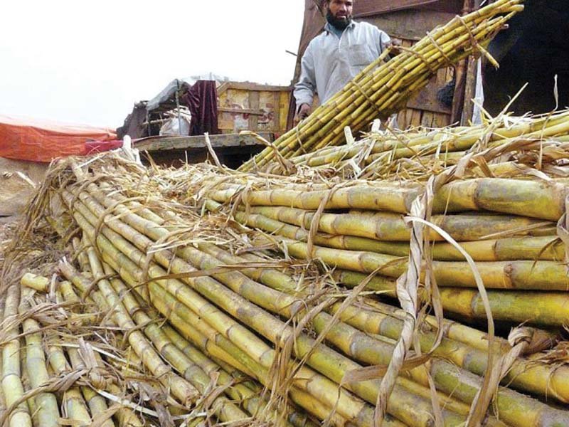 Sugar millers express concern over cane shortage