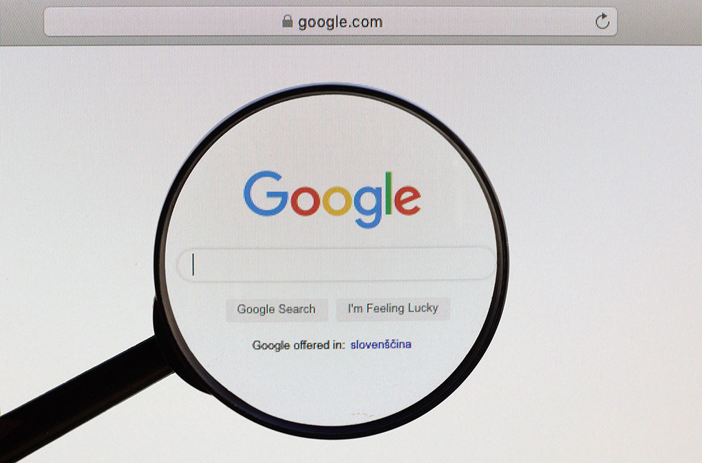 What have Pakistanis been searching for on Google during 2020?
