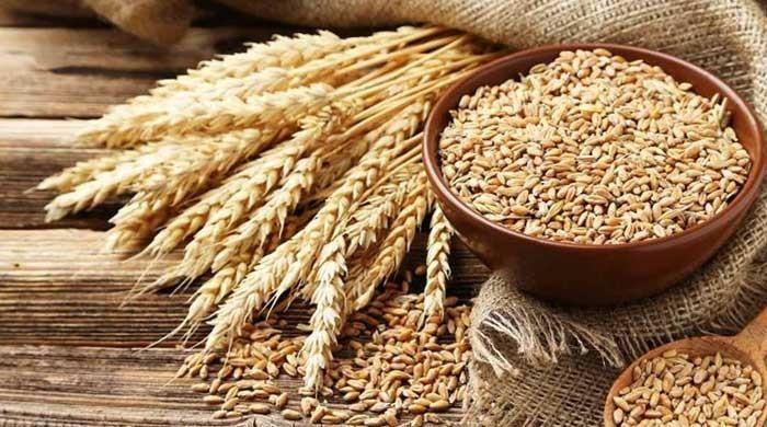 Food ministry advised not to import additional wheat
