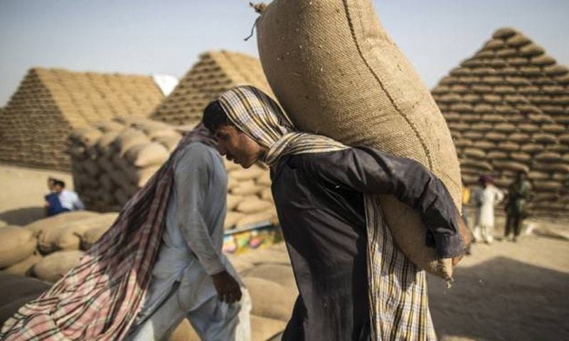 NPMC assured of wheat stock availability