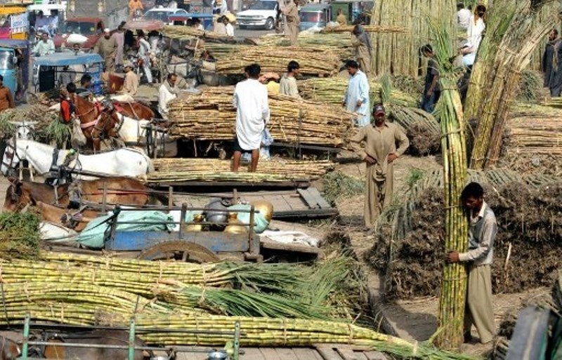 Cane commissioner asks DCs to stop 'off the book' purchases by mills