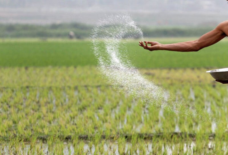 Urea supply sufficient for Rabi season