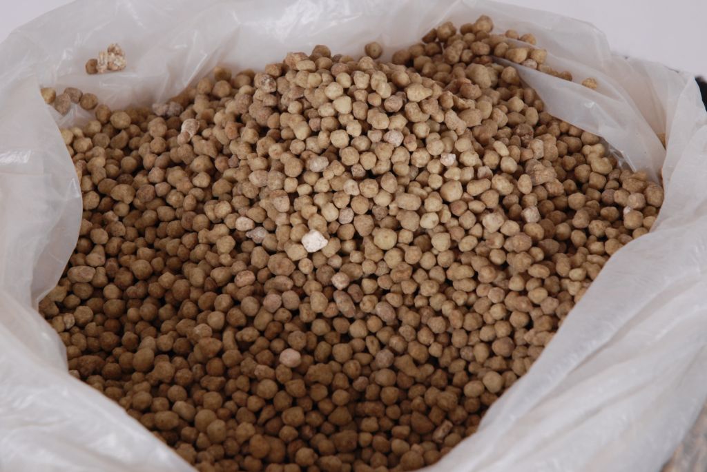 Global supply, uncertain subsidy mechanism may increase DAP price 