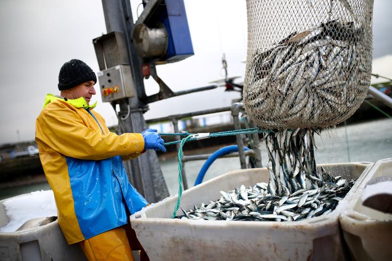 'Boris the betrayer' has swindled us over Brexit, England's fishermen say