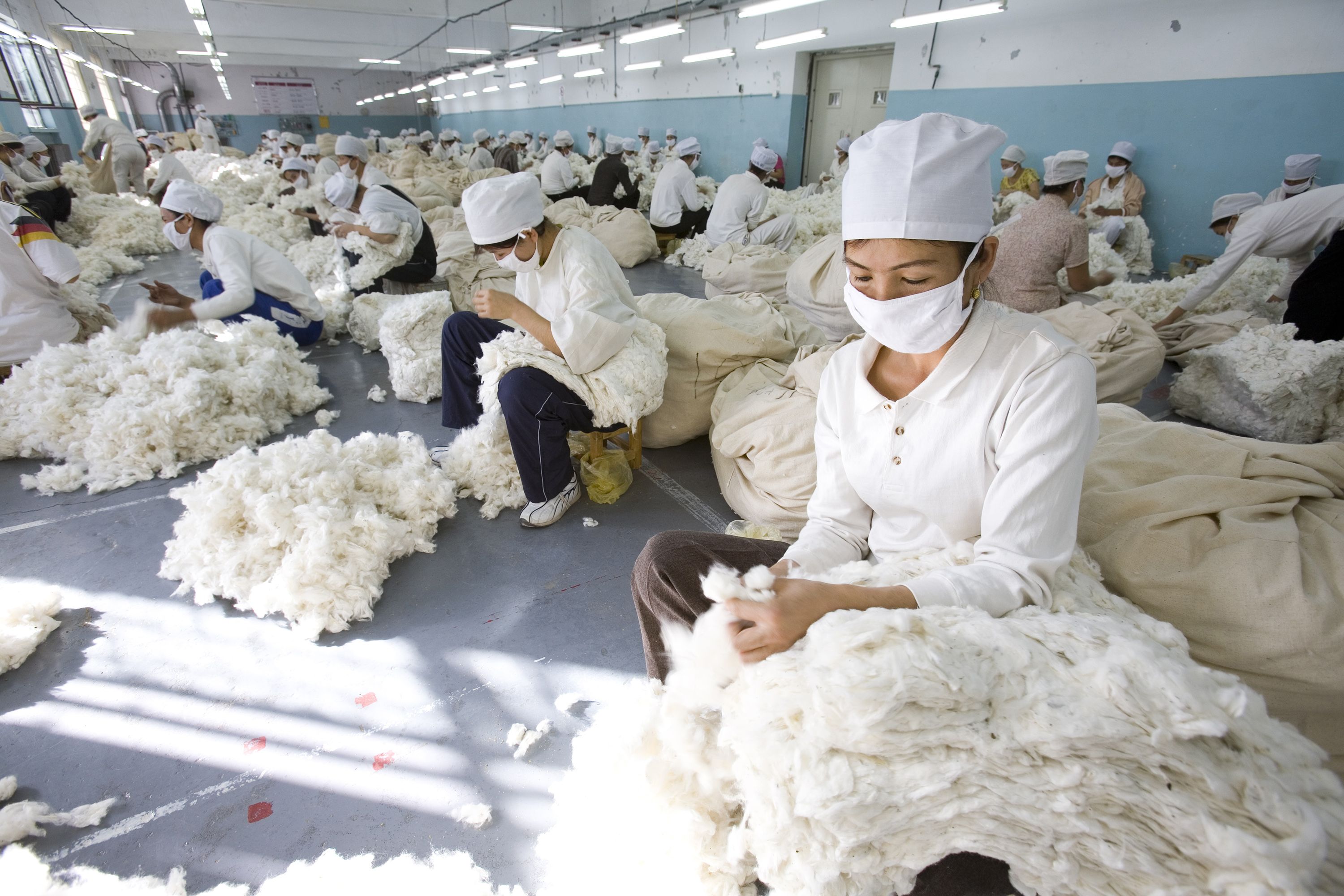 Government urged to import Indian cotton on short supplies
