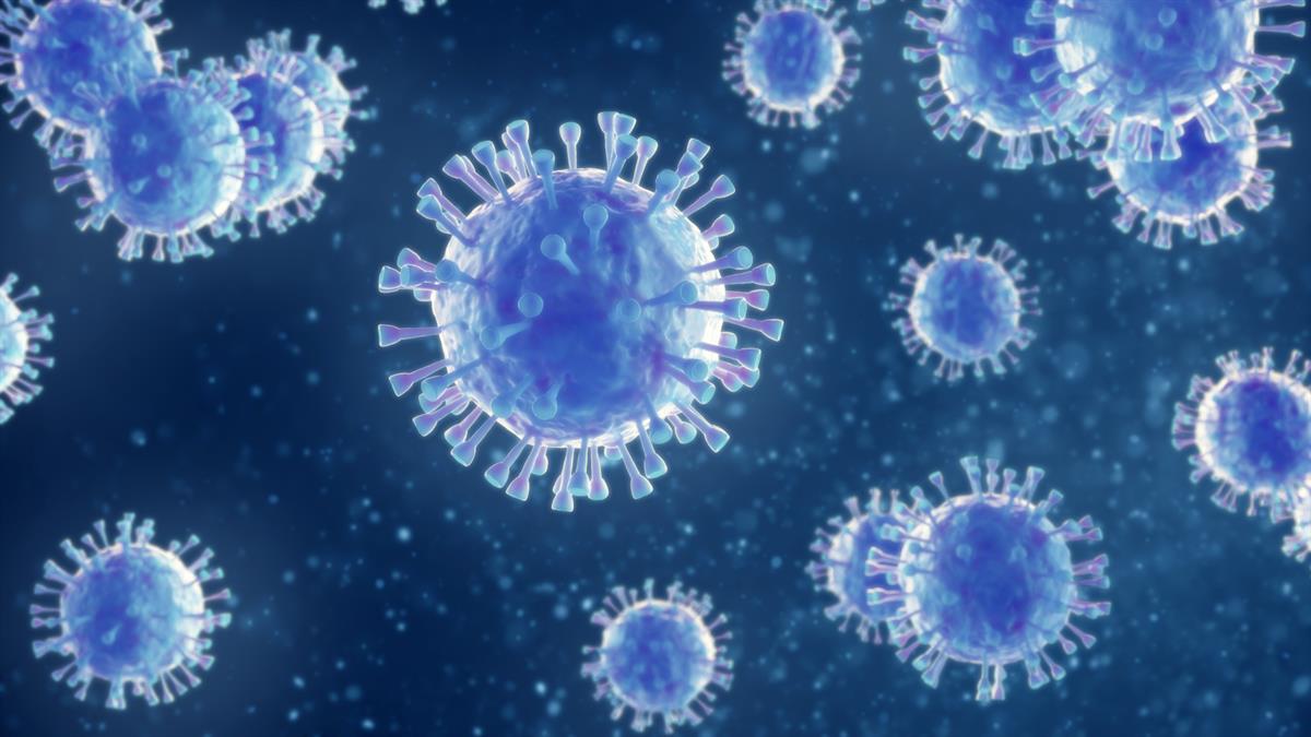 Covid-19 cases near half a million in country; 10,598 die so far