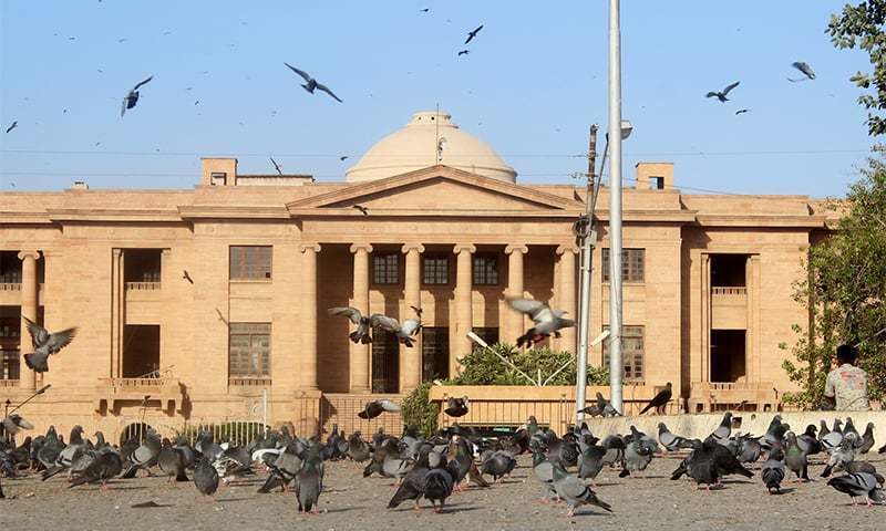 SHC summons LG secy over shortage of anti-rabies vaccines