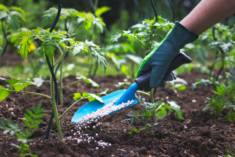 Urea sales likely to show 35pc YoY decrease in Dec 2020