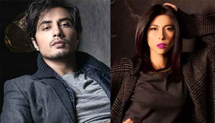 SC admits Meesha's appeal against LHC dismissal of harassment claim