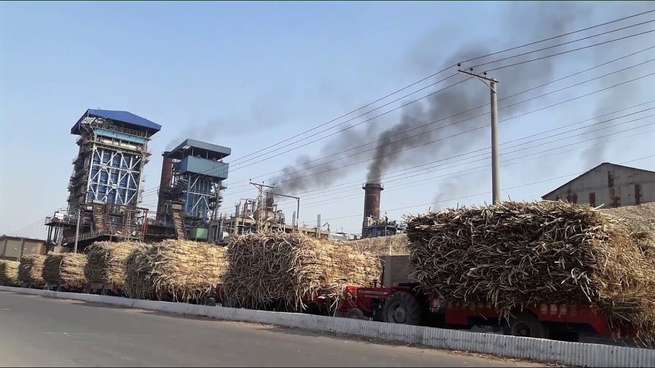Sugar industry’s margins stagnant, even as revenues rise