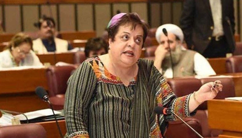 Mazari calls for protection of human rights