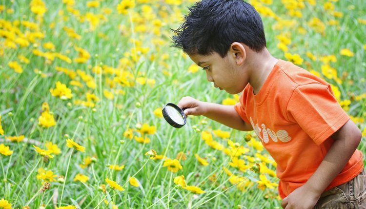 Green education for future generations