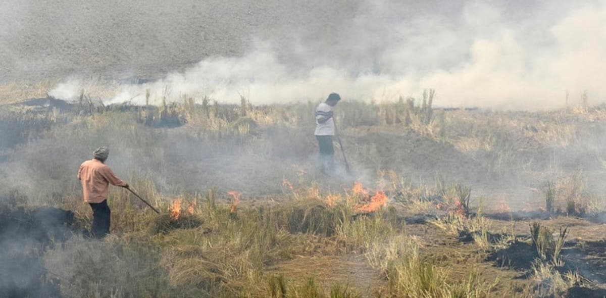 Two minors die due to stubble burning in Chiniot